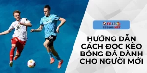 Hướng Dẫn Cách Đọc Kèo Bóng Đá Dành Cho Người Mới