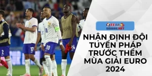Nhận Định Đội Tuyển Pháp Trước Thềm Mùa Giải Euro 2024