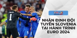 Nhận Định Đội Tuyển Slovenia Tại Hành Trình Euro 2024